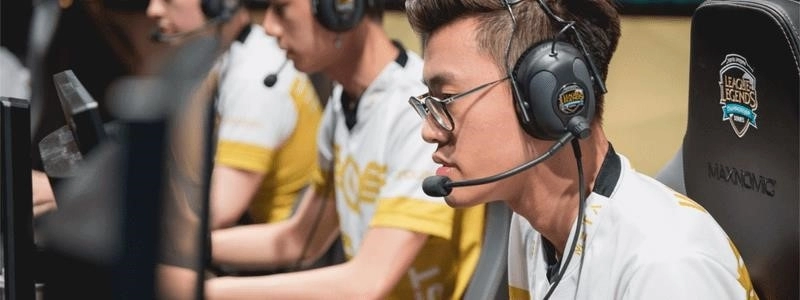 wildturtle-flyquest-lol-esports-team