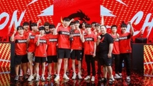 Dragons win OWL Grand Finals and Dhulky’s almost perfect bracket