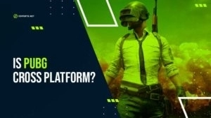 Является ли PUBG кроссплатформенной?  Ваш путеводитель по PUBG Crossplay