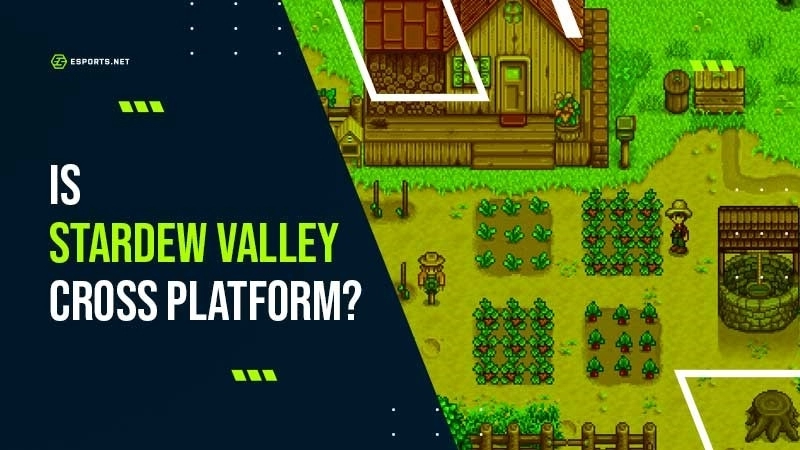 Кроссплей Stardew Valley